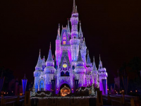 Disney Castle Disney Castle