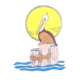 fl-indianriver pelican island